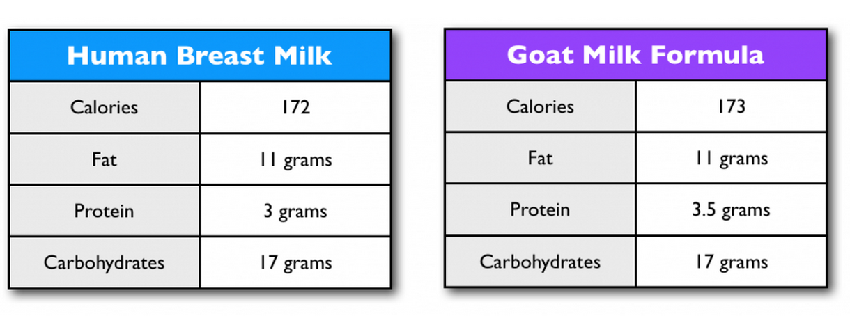 Goat Milk Formula